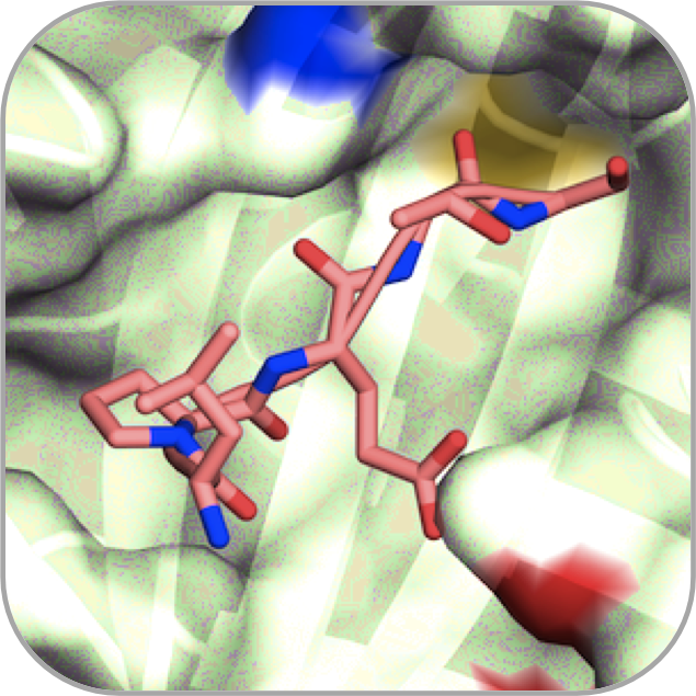 Icon Spring Meeting 2013 IconSpringMeeting2013-2