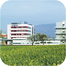 DIAC Annual Member Meeting 2024 and Visit of Syngenta